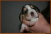 23 oktober 2010